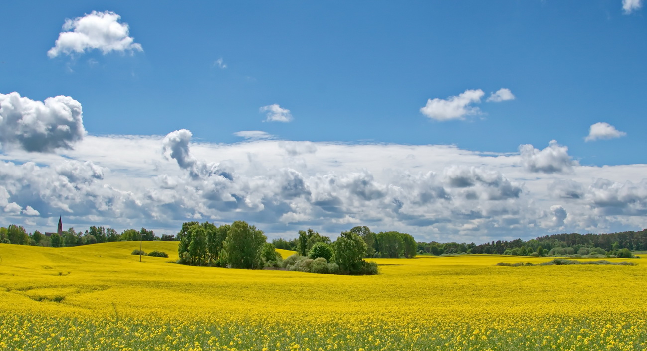 Landschaft in Gelb