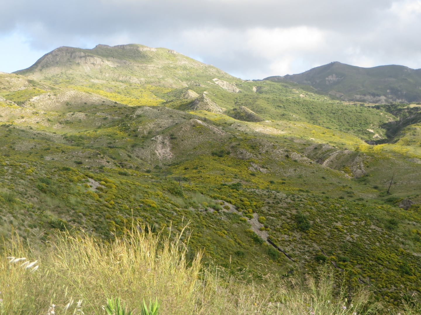 Landschaft in gelb