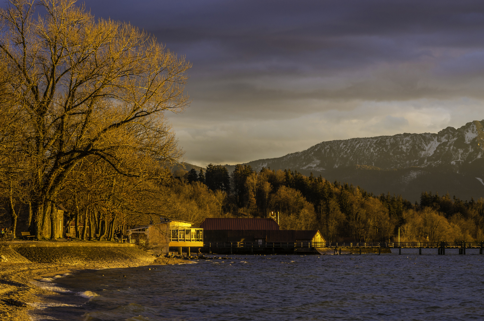 Landschaft in Gold