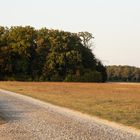 Landschaft in Hambrücken