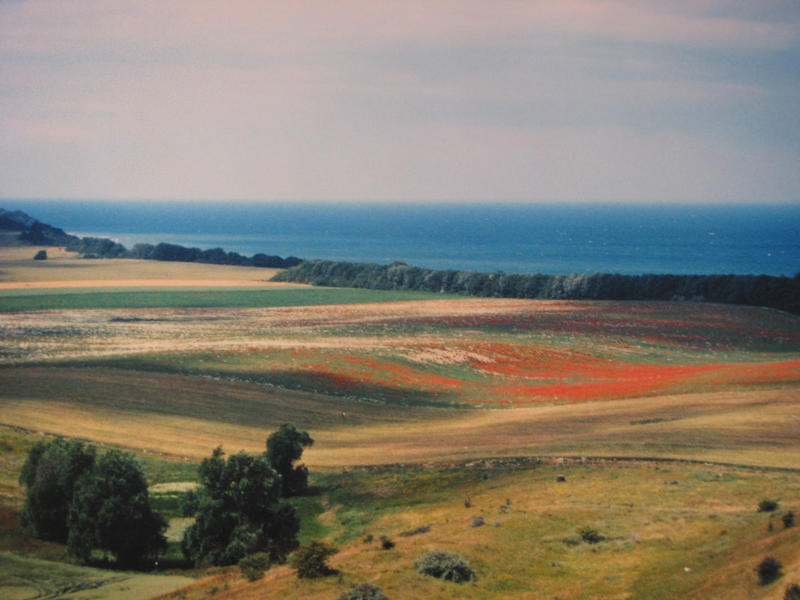 Landschaft in Harmonie