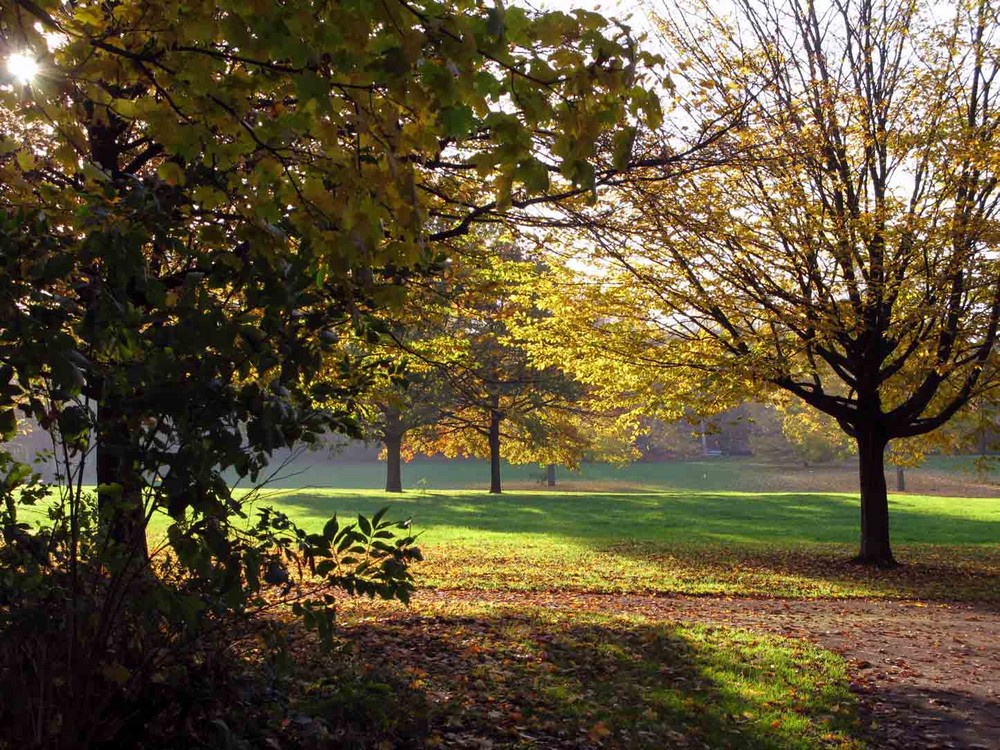 Landschaft in Herbst