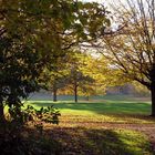 Landschaft in Herbst