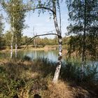 Landschaft in herbstlicher Stimmung