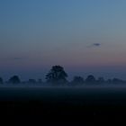 Landschaft in Hohenems