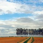 Landschaft in Hohenlohe