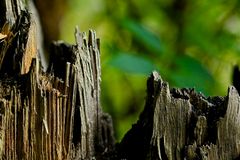 Landschaft in Holz