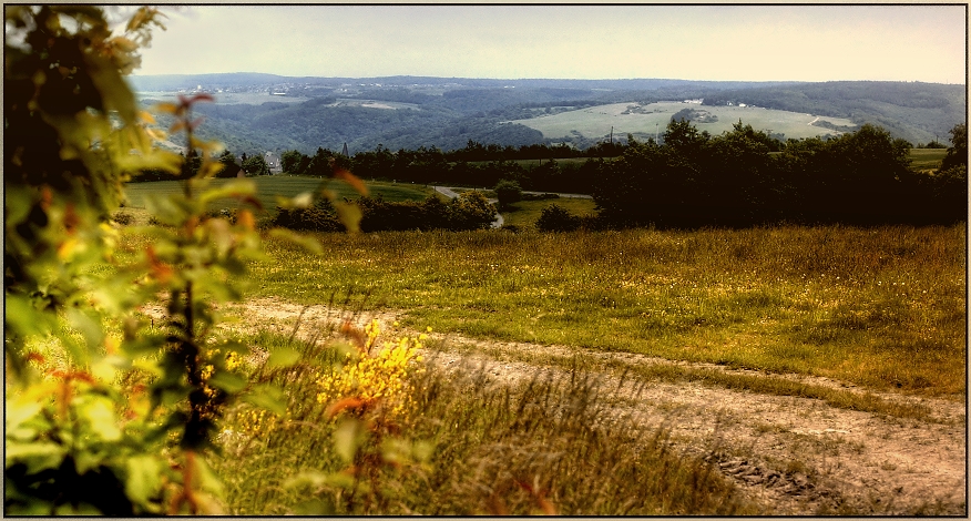 … Landschaft in Hunsrück….