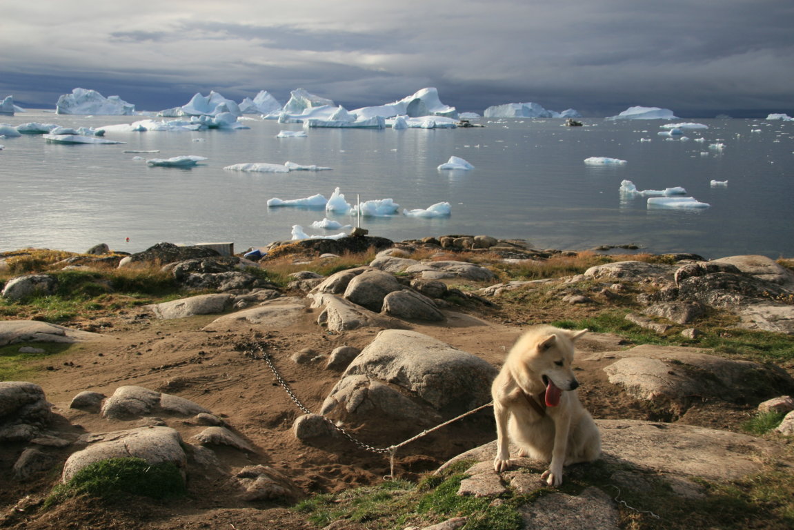 Landschaft in Ilulissat (Grönland)
