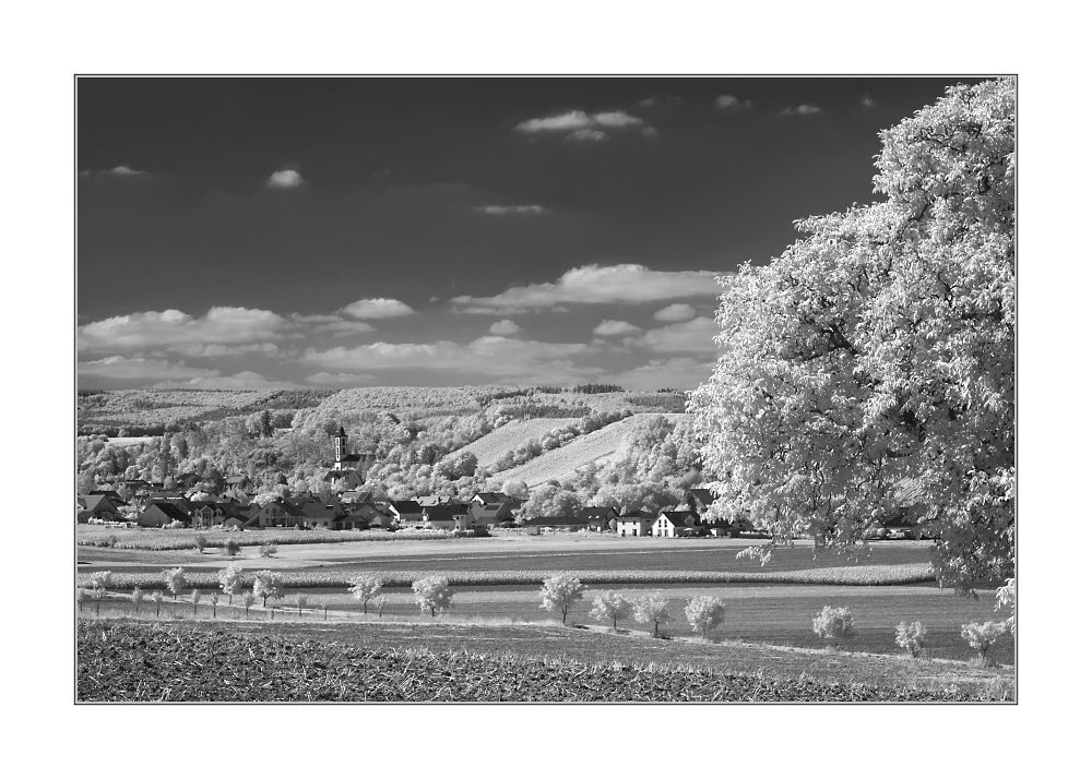 Landschaft in IR