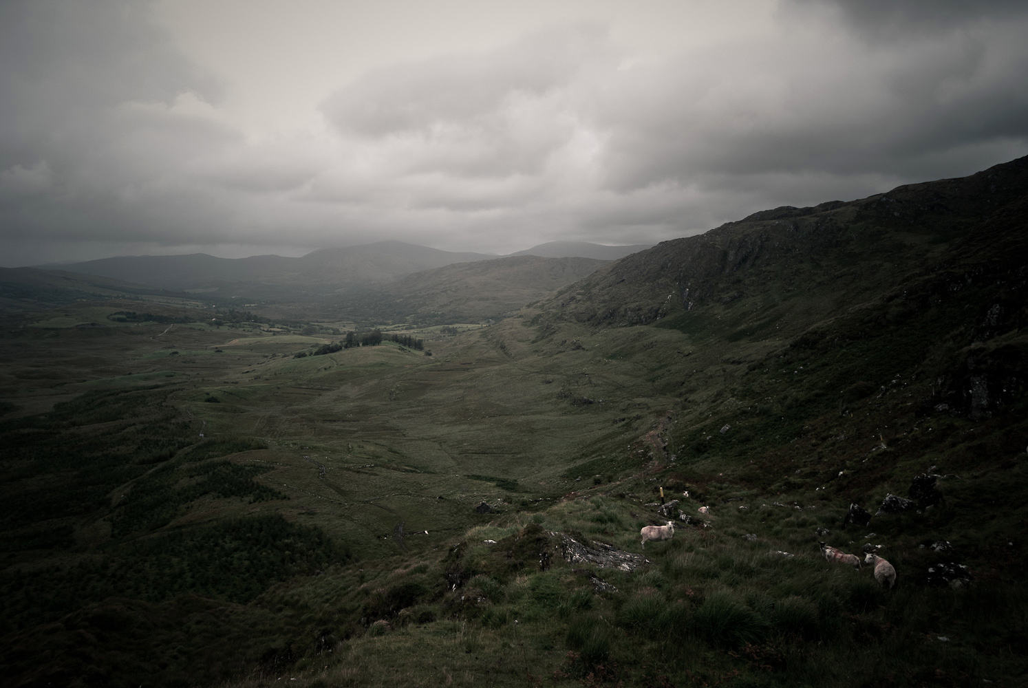 landschaft in irland