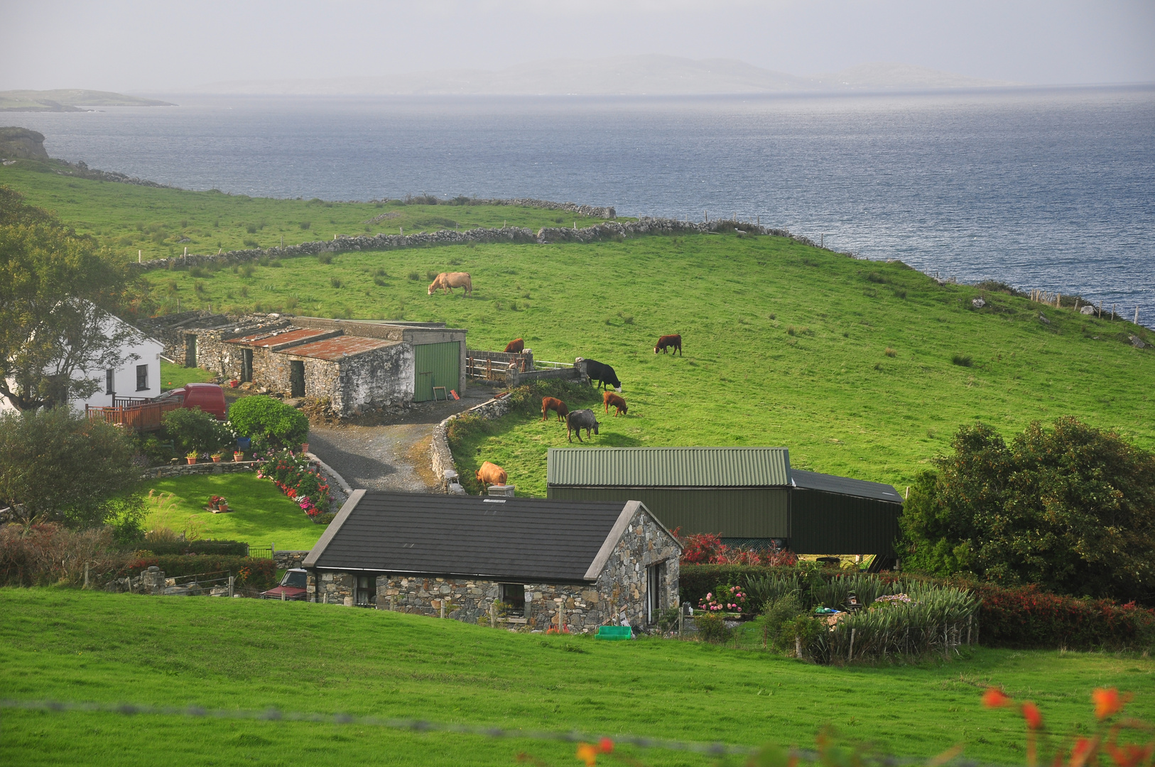 Landschaft in Irland