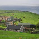 Landschaft in Irland