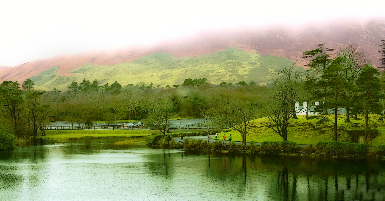 Landschaft in Irland