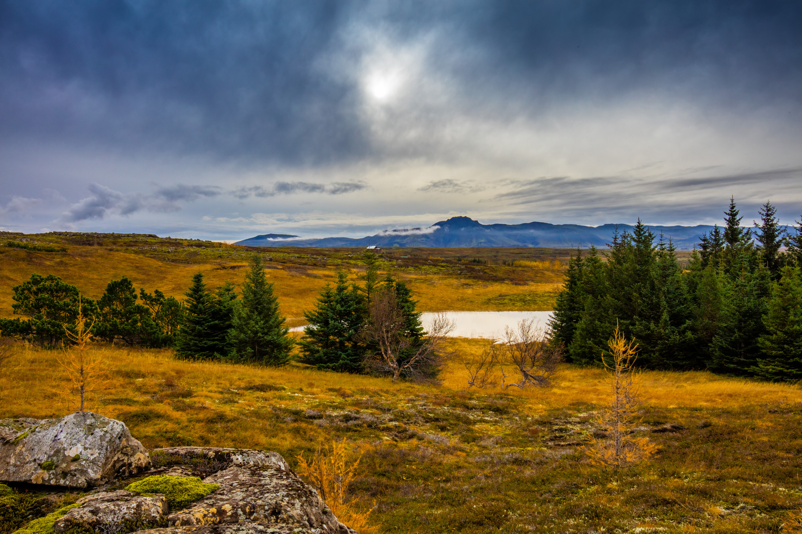 Landschaft in Island