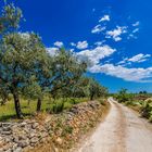 Landschaft in Istrien