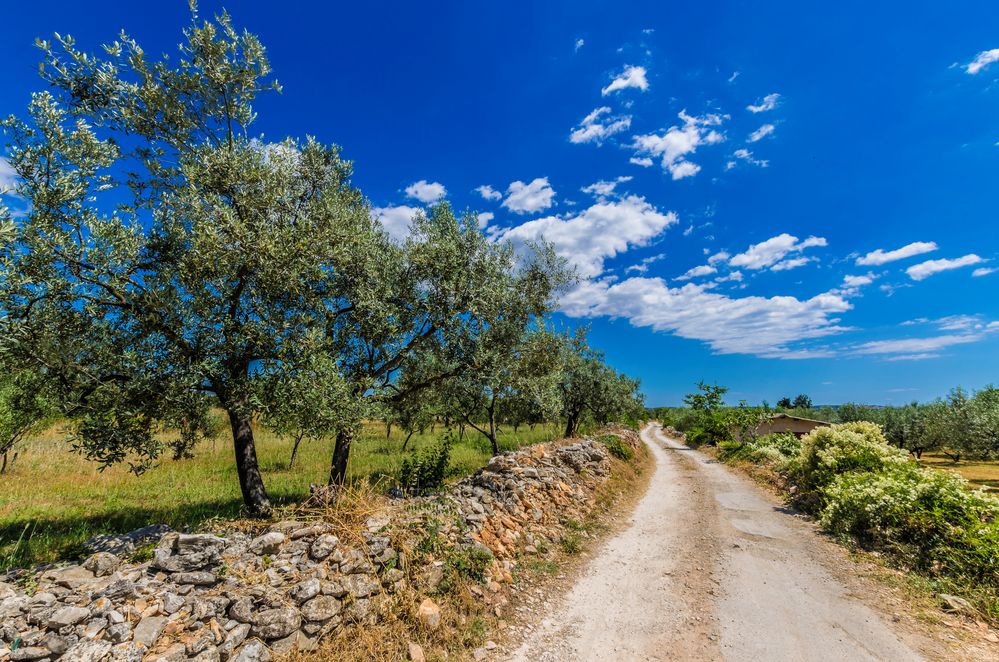 Landschaft in Istrien