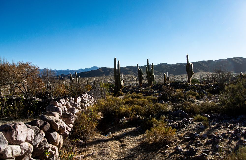 Landschaft in Jujuy