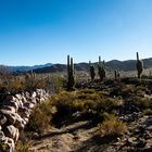 Landschaft in Jujuy