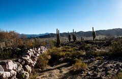 Landschaft in Jujuy