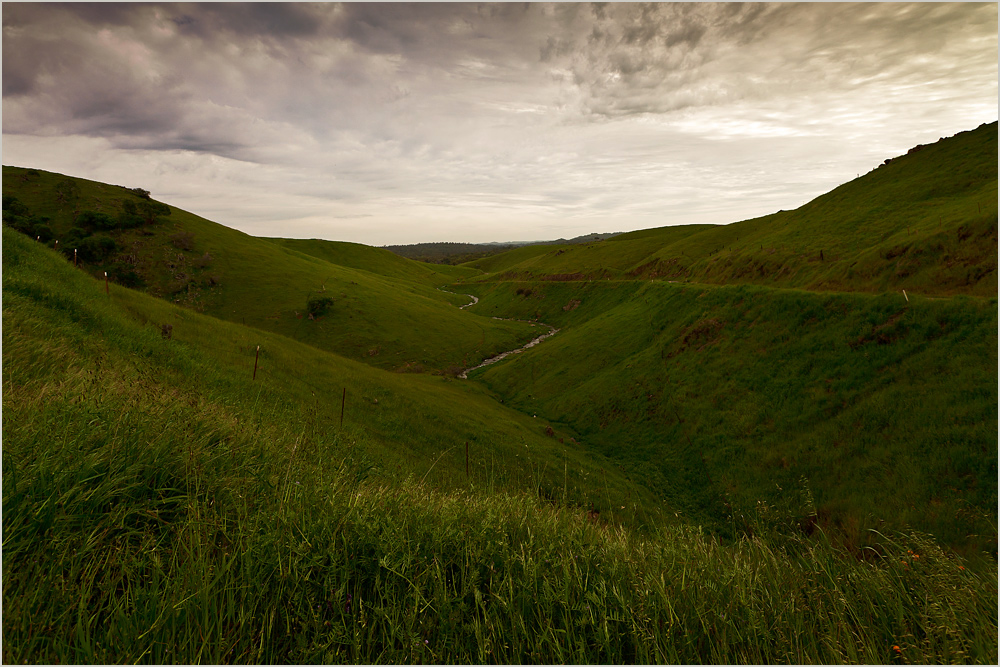 Landschaft in Kalifornien - Nahe Mariposa 2