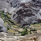 Landschaft in Ladakh