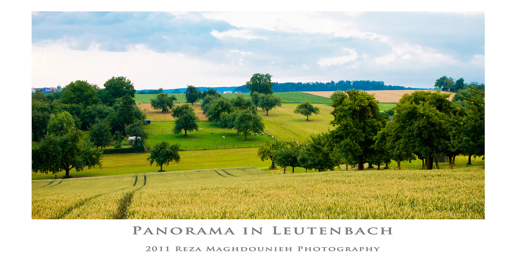 Landschaft in Leutenbach