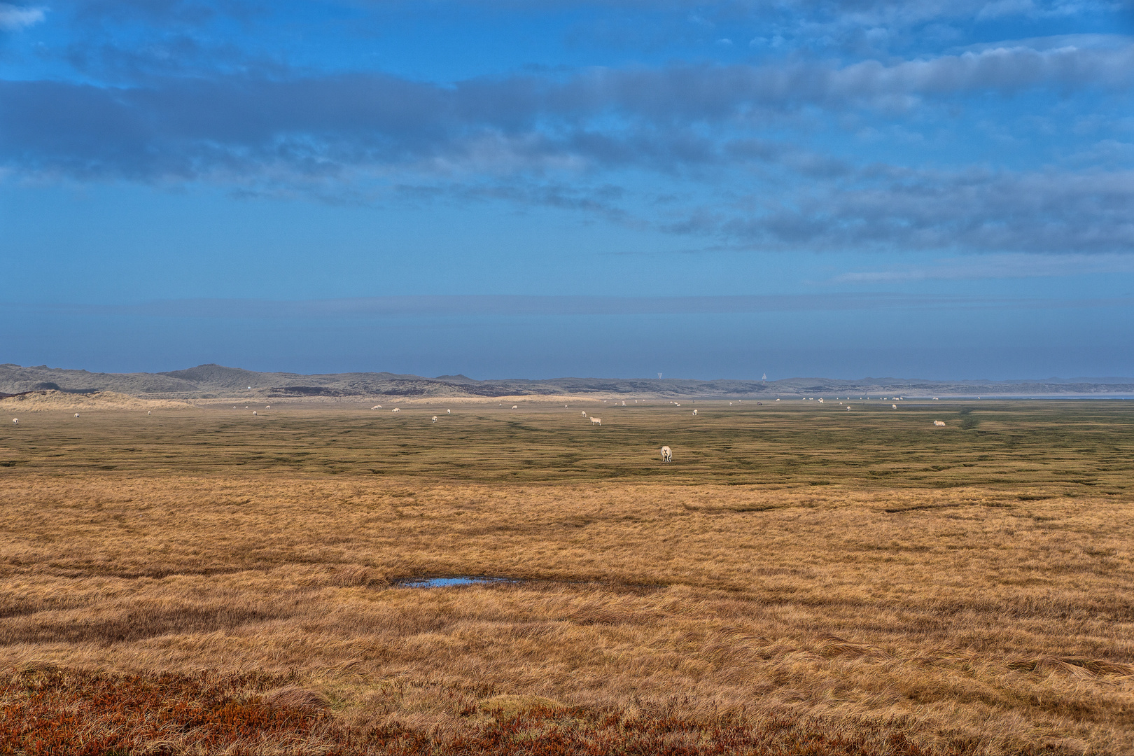 LANDSCHAFT IN LIST AUF SYLT - FEBRUAR 2017