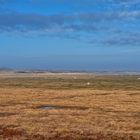 LANDSCHAFT IN LIST AUF SYLT - FEBRUAR 2017