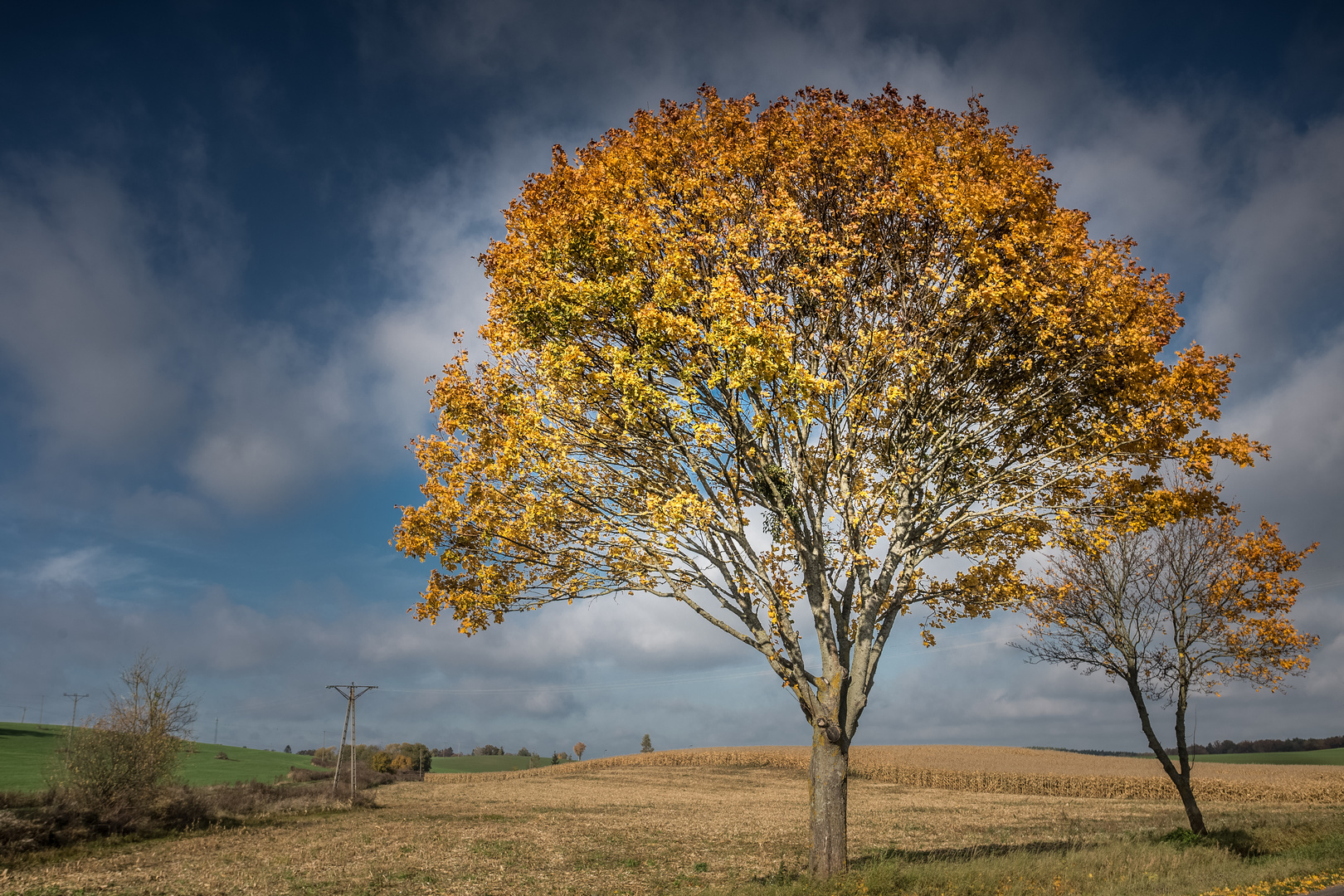 Landschaft in Masuren