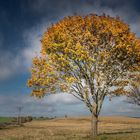 Landschaft in Masuren