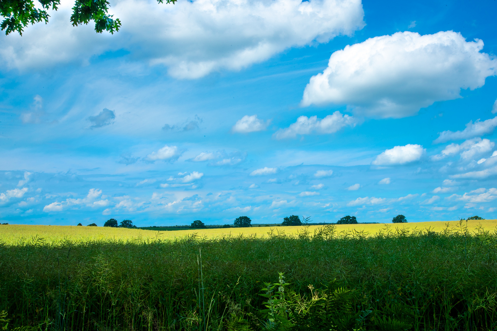 Landschaft in Meck-Pomm