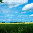 Landschaft in Meck-Pomm