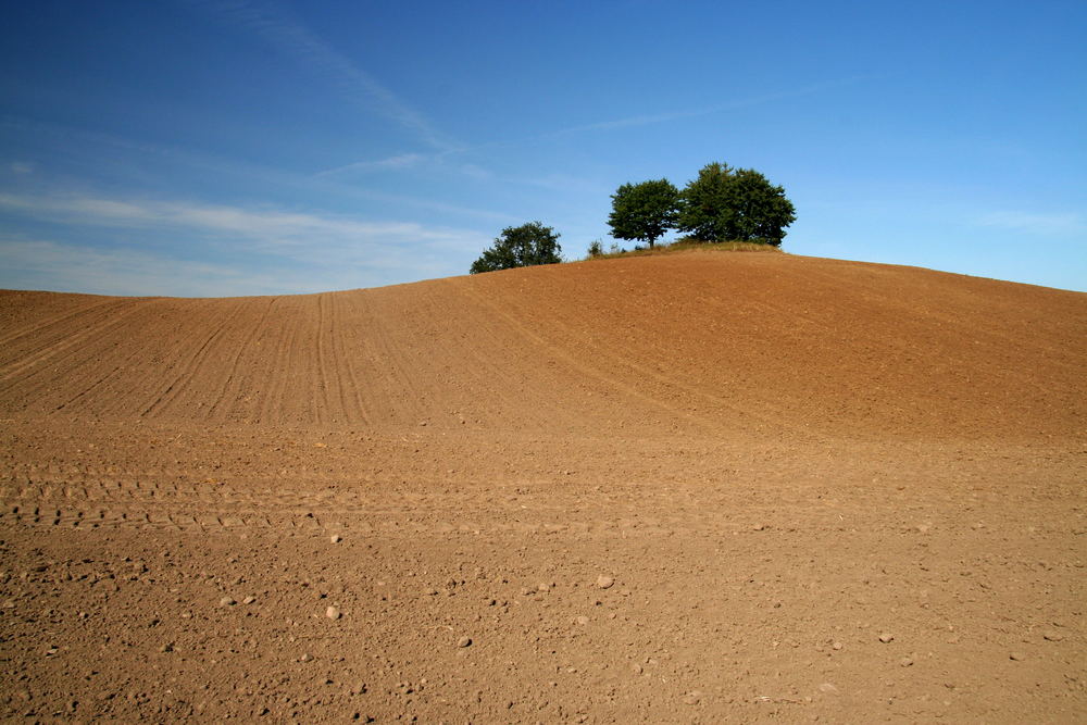 Landschaft in Mecklenburg