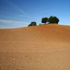 Landschaft in Mecklenburg