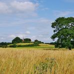 .Landschaft in Mecklenburg Vorpommern.