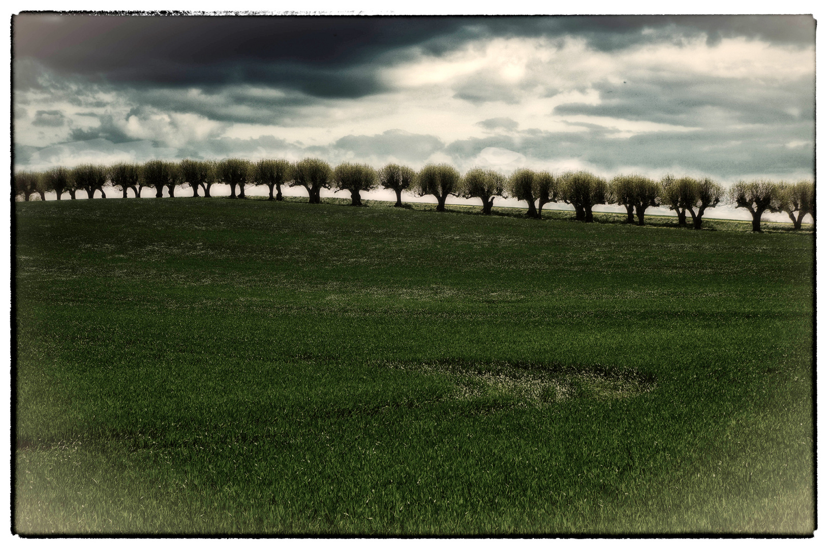 Landschaft in Mecklenburg Vorpommern