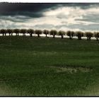 Landschaft in Mecklenburg Vorpommern