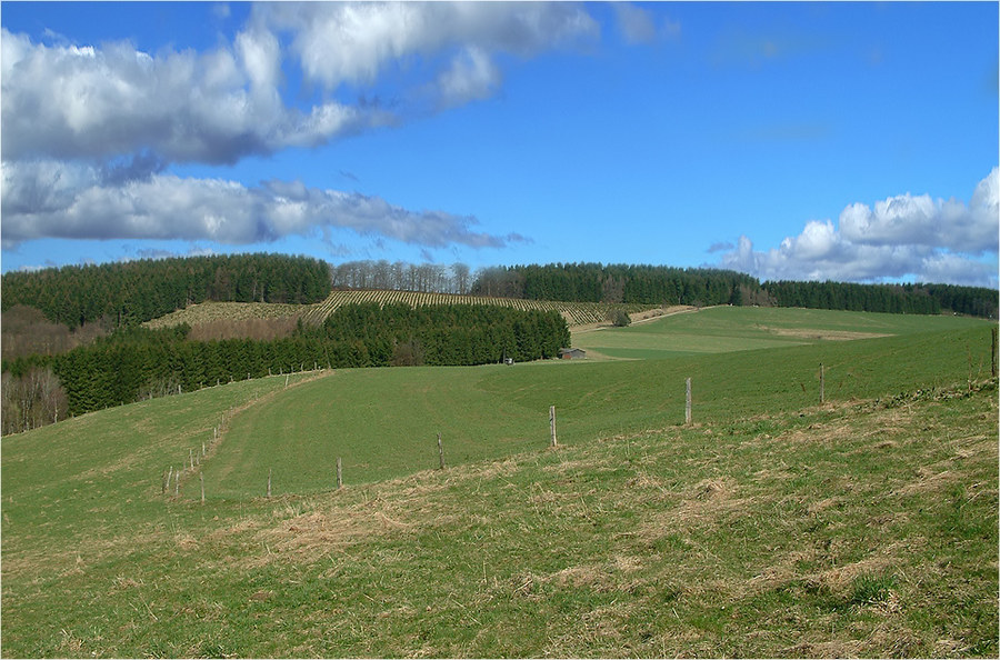 Landschaft in MK