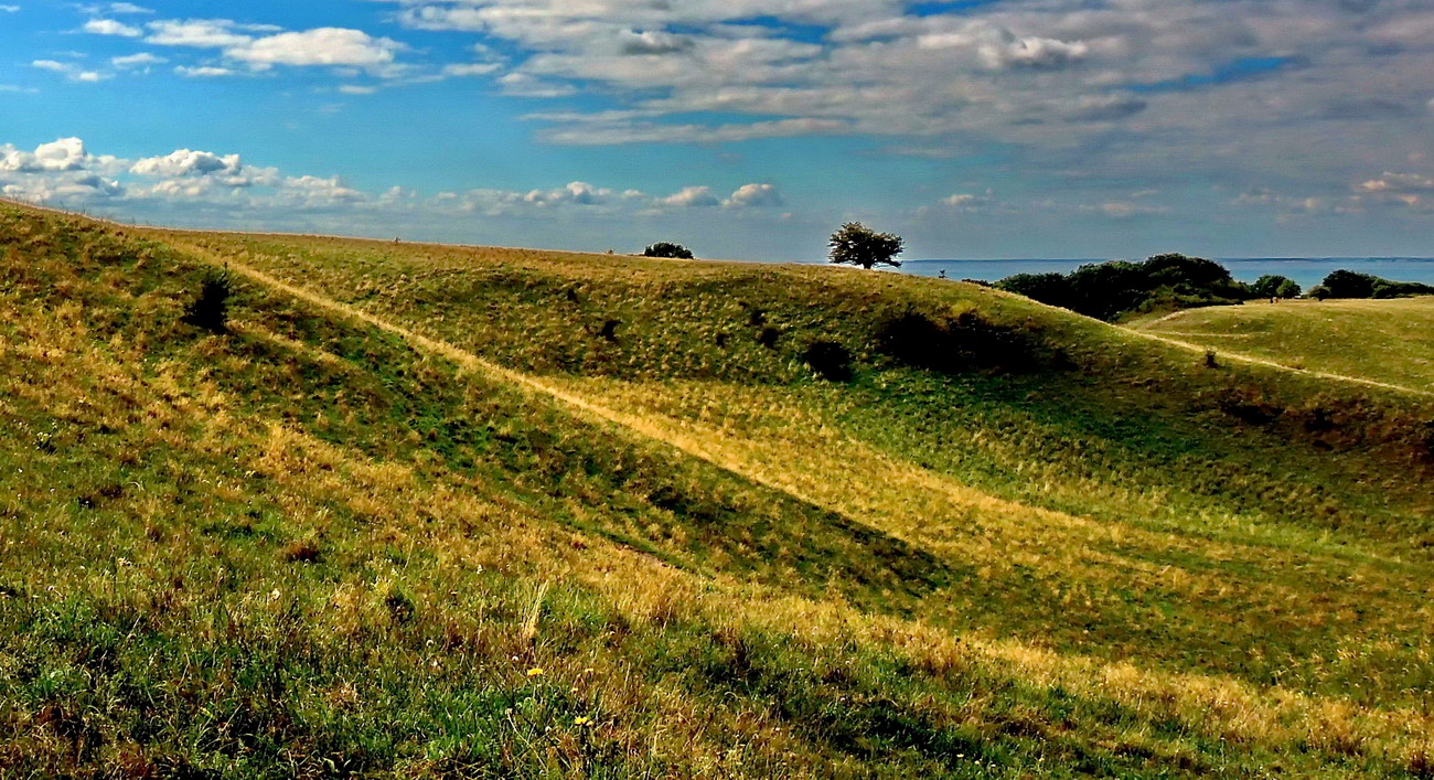 Landschaft in Mönchgut/Rügen