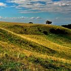 Landschaft in Mönchgut/Rügen