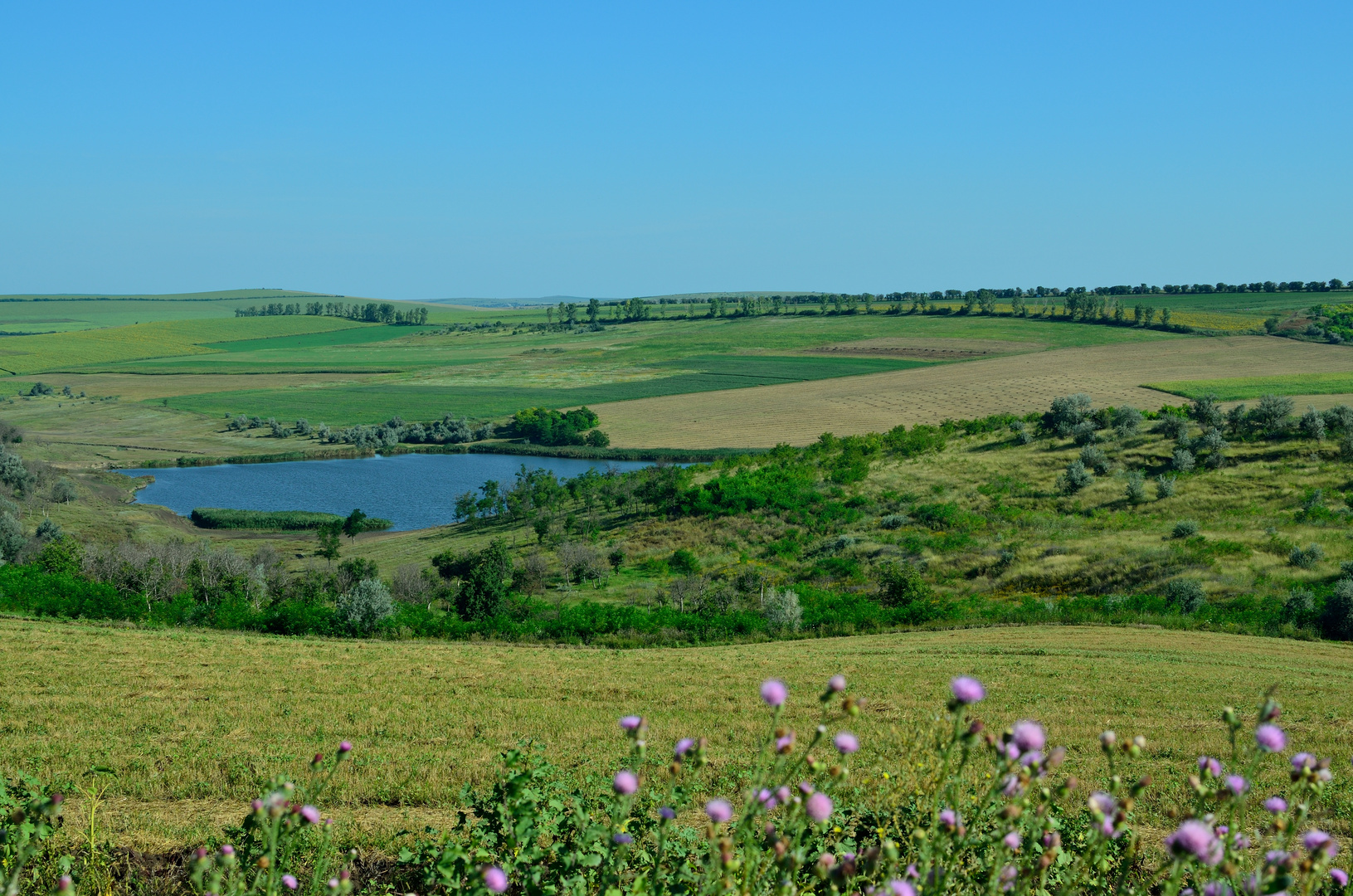 Landschaft in Moldawien