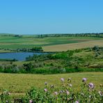 Landschaft in Moldawien