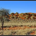 Landschaft in Namibia