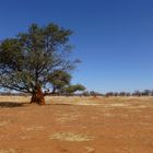 Landschaft in Namibia