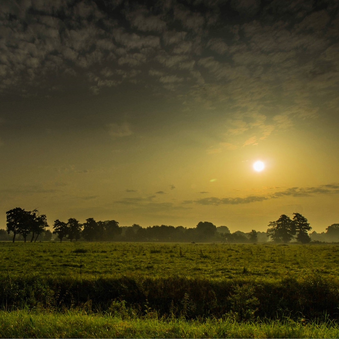 Landschaft in Niedersachsen 