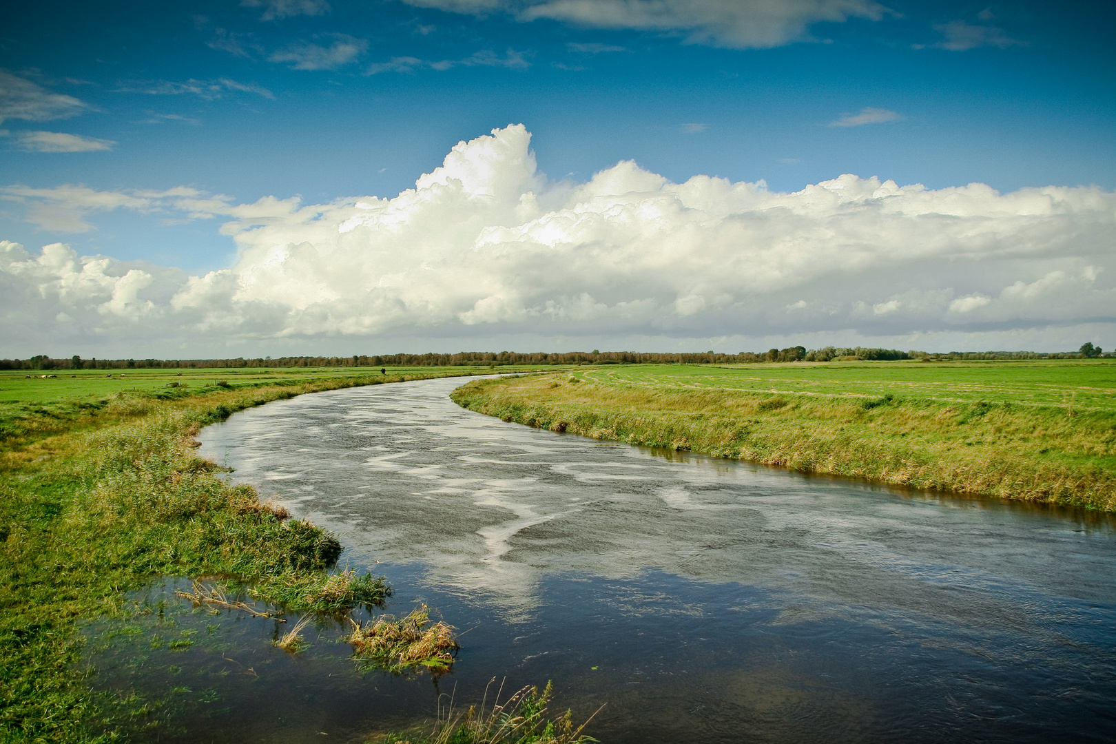 Landschaft in Nordfriesland