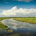 Landschaft in Nordfriesland