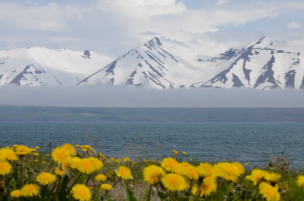 Landschaft in Nordisland