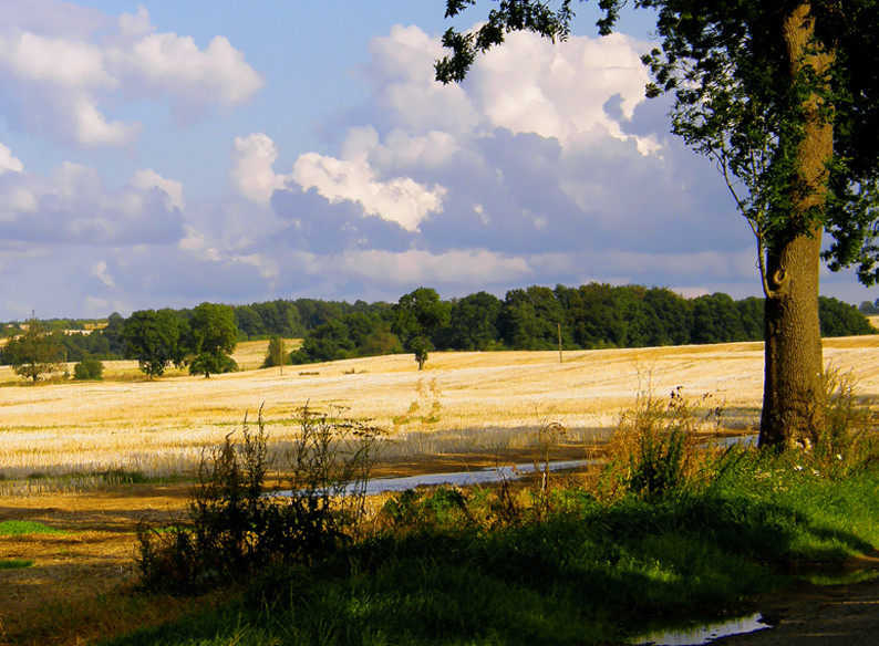 Landschaft In Nordpolen